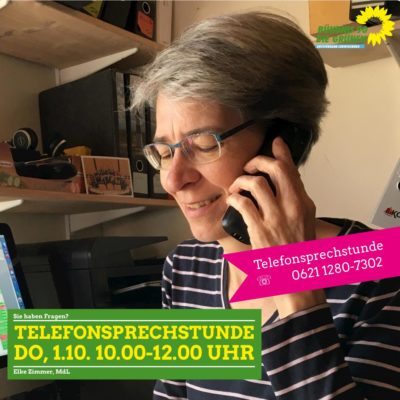 Telefonsprechstunde mit Elke Zimmer MdL