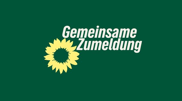 Zuschuss für kommunale Pflegekonferenzen