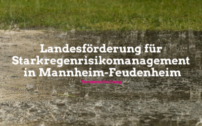 Landesförderung für Wasserbau und Gewässerökologie: 106.400 Euro für Starkregenrisikomanagement in Feudenheim
