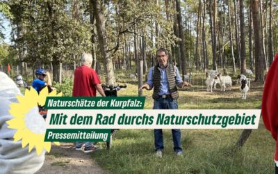 Naturschätze der Kurpfalz: Dünen in Mannheim und Schwetzingen