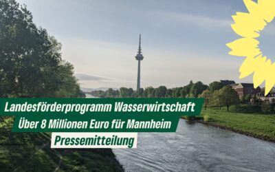 Landesförderprogramm Wasserwirtschaft – Über 8 Millionen Euro fließen nach Mannheim
