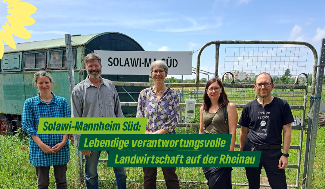 Solawi: Lebendige und verantwortungsvolle Landwirtschaft